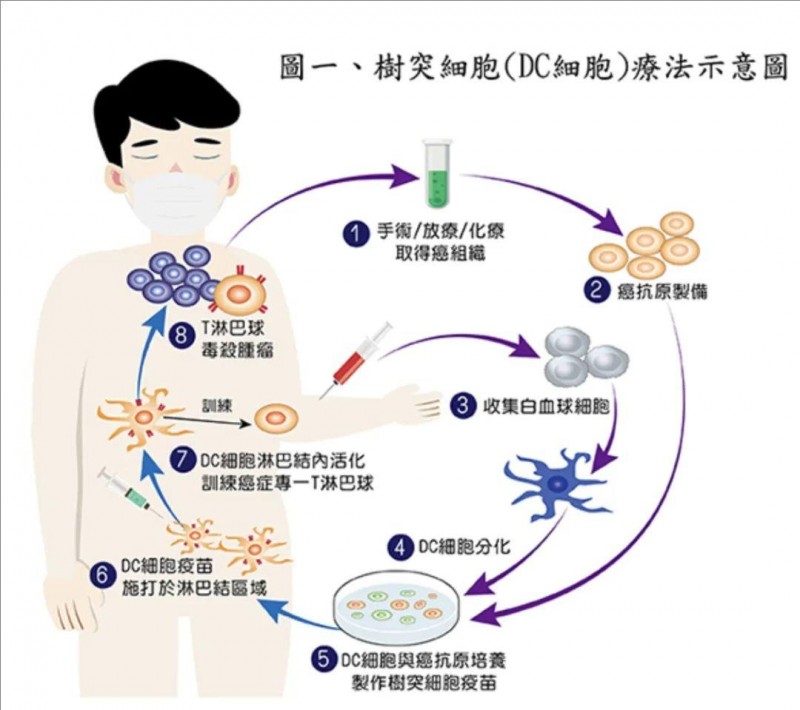 组织工程:重塑未来的医学奇迹