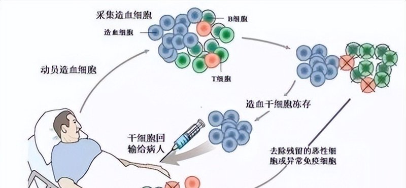 再生医学:开启生命修复新时代