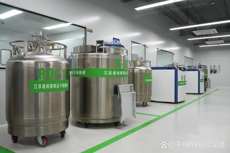 细胞储存技术的新进展:未来医疗的钥匙