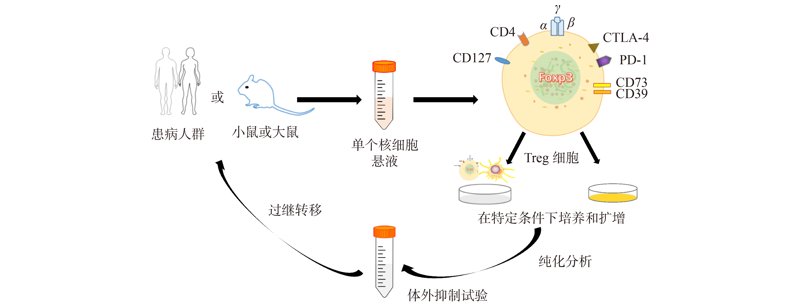 组织工程:前沿科技,重塑医疗未来