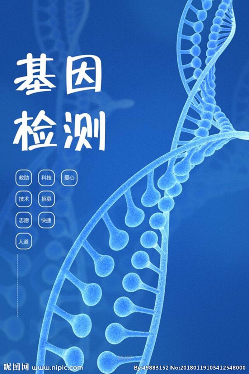 免疫细胞:守护健康的小卫士